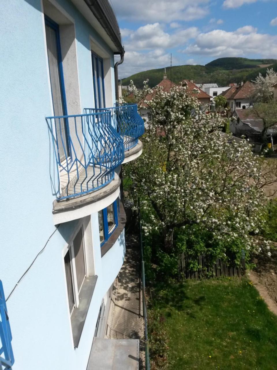 Pension Magnolia Trenčín Exterior foto